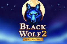 Играть в Black Wolf 2