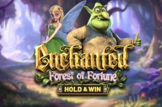 Играть в Enchanted: Forest Of Fortune